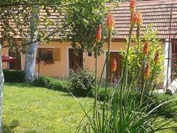Apartmány Zibar